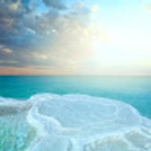 Meet your Posher, Bushra